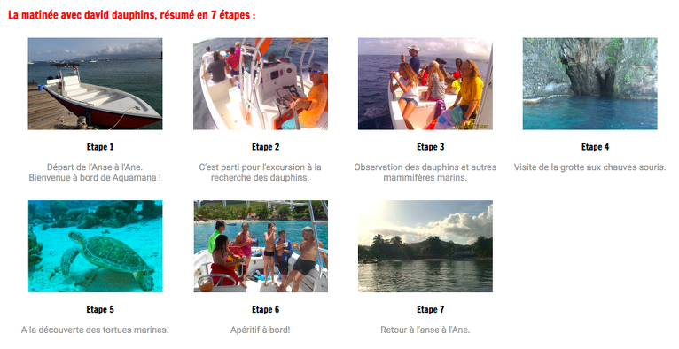 Bon plan, codes promo, réduction Guadeloupe, Martinique, Guyane, la Réunion : - 5 EUR sur la sortie Dauphin ! | photo-5-eur-sur-la-sortie-dauphin-1