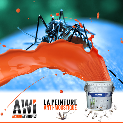 Bon plan, codes promo, réduction Guadeloupe, Martinique, Guyane, la Réunion : LA 3A Mate, peinture insecticide en promo !!! | photo-la-3a-mate-peinture-insecticide-en-promo