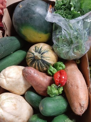 Bon plan, codes promo, réduction Guadeloupe, Martinique, Guyane, la Réunion : 10 kg de Fruits et Légumes à 25 EUR ! | photo-panier-10-kg-a-25-eur-1