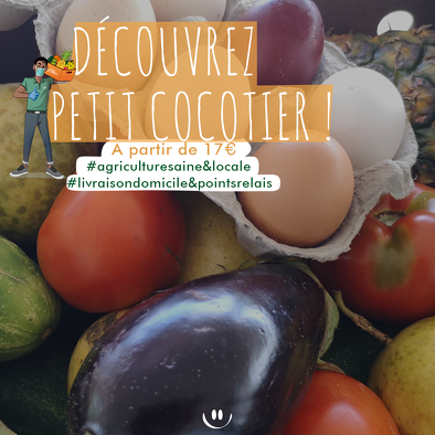Bon plan, codes promo, réduction Guadeloupe, Martinique, Guyane, la Réunion : Votre panier de fruits et légumes à partir de 17€ | photo-votre-panier-de-fruits-et-legumes-a-partir-de-17-2