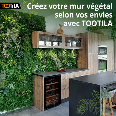 Bon plan, codes promo, réduction Guadeloupe, Martinique, Guyane, la Réunion : Collection Mur végétal | photo-nouvelle-gamme-mur-vegetal