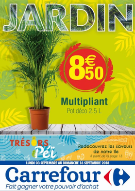 Bon plan, codes promo, réduction Guadeloupe, Martinique, Guyane, la Réunion : Catalogue : Trésor Péï | photo-catalogue-tresor-pei
